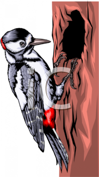 Bird Clip Art Image