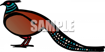 Bird Clip Art Image