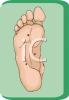 Foot Clip Art Image