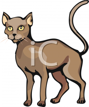Cat Clip Art Image