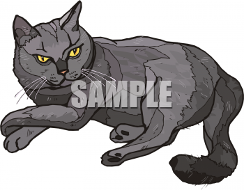 Cat Clip Art Image