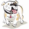 Dog Clip Art Image