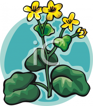 Flower Clip Art Image