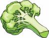 broccoli_012000253_tnb.png 80.0K