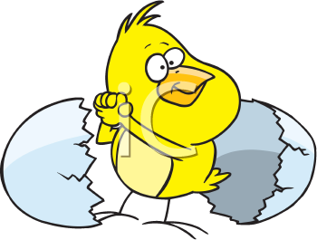 Bird Clip Art Image
