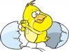 Bird Clip Art Image