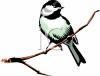 Bird Clip Art Image