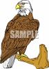 Bird Clip Art Image