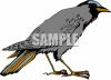 Bird Clip Art Image