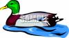 Bird Clip Art Image