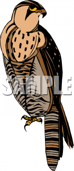 Bird Clip Art Image
