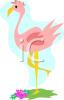 Bird Clip Art Image
