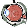 Eye Clip Art Image