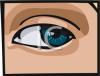 Eye Clip Art Image