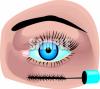 Eye Clip Art Image