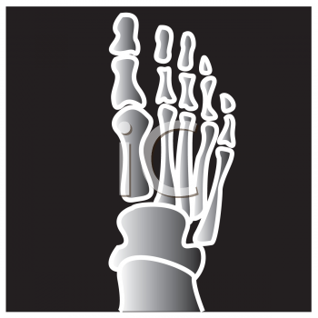 Foot Clip Art Image