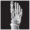 Foot Clip Art Image
