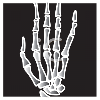 Hand Clip Art Image