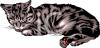 Cat Clip Art Image