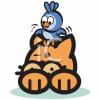 Cat Clip Art Image
