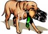 Dog Clip Art Image