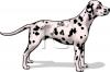 Dog Clip Art Image