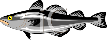 Fish Clip Art Image