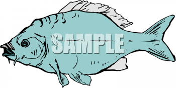 Fish Clip Art Image