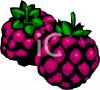 berry_food_190929_tnb.png 50.4K