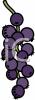 beverages_grape_191574_tnb.png 43.7K