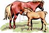 Horse Clip Art Image