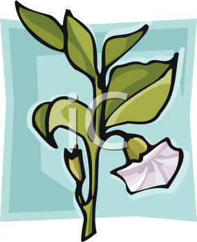 Flower Clip Art Image