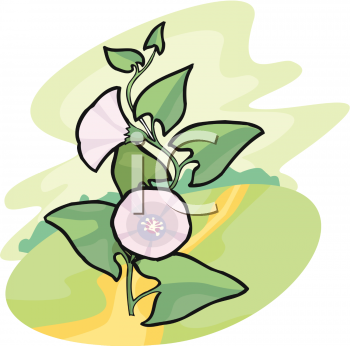 Flower Clip Art Image