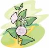 Flower Clip Art Image