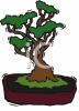 Tree Clip Art Image