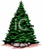 Tree Clip Art Image