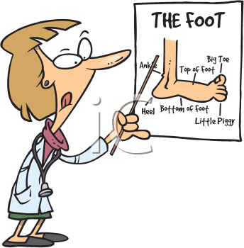 Doctor Clip Art Image