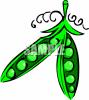 vegetable_produce_105870_tnb.png 55.9K