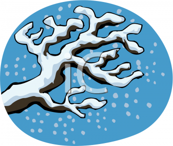 winter6121_010483_tnb.png 91.9K